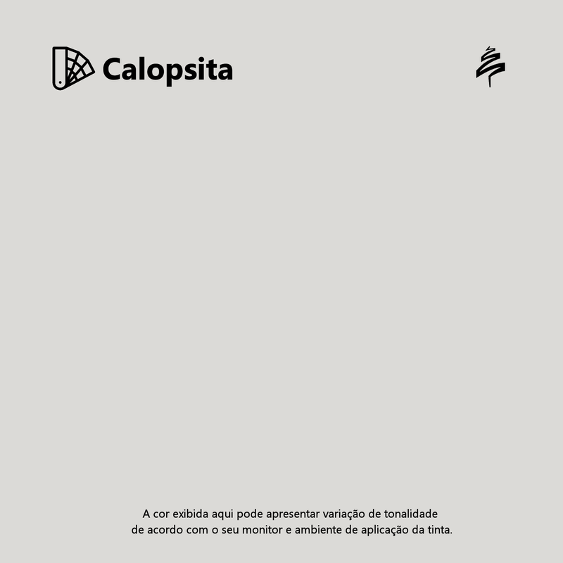 Tinta-acrilica-toque-brilho-calopsita----suvinil