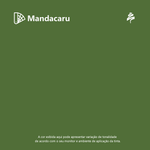 Tinta-Fosco-Peg-e-Pinte-Mandacaru---Eucatex.png