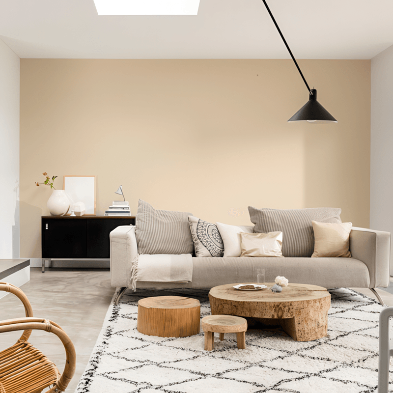Tinta Coral Master - Palha - Living Room- HD