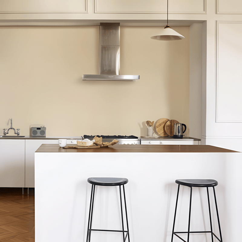 Tinta Coral Master - Palha - Kitchen- HD